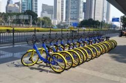 【6分钟教程】儋州市工厂咨询电话号码_哔哩哔哩-2